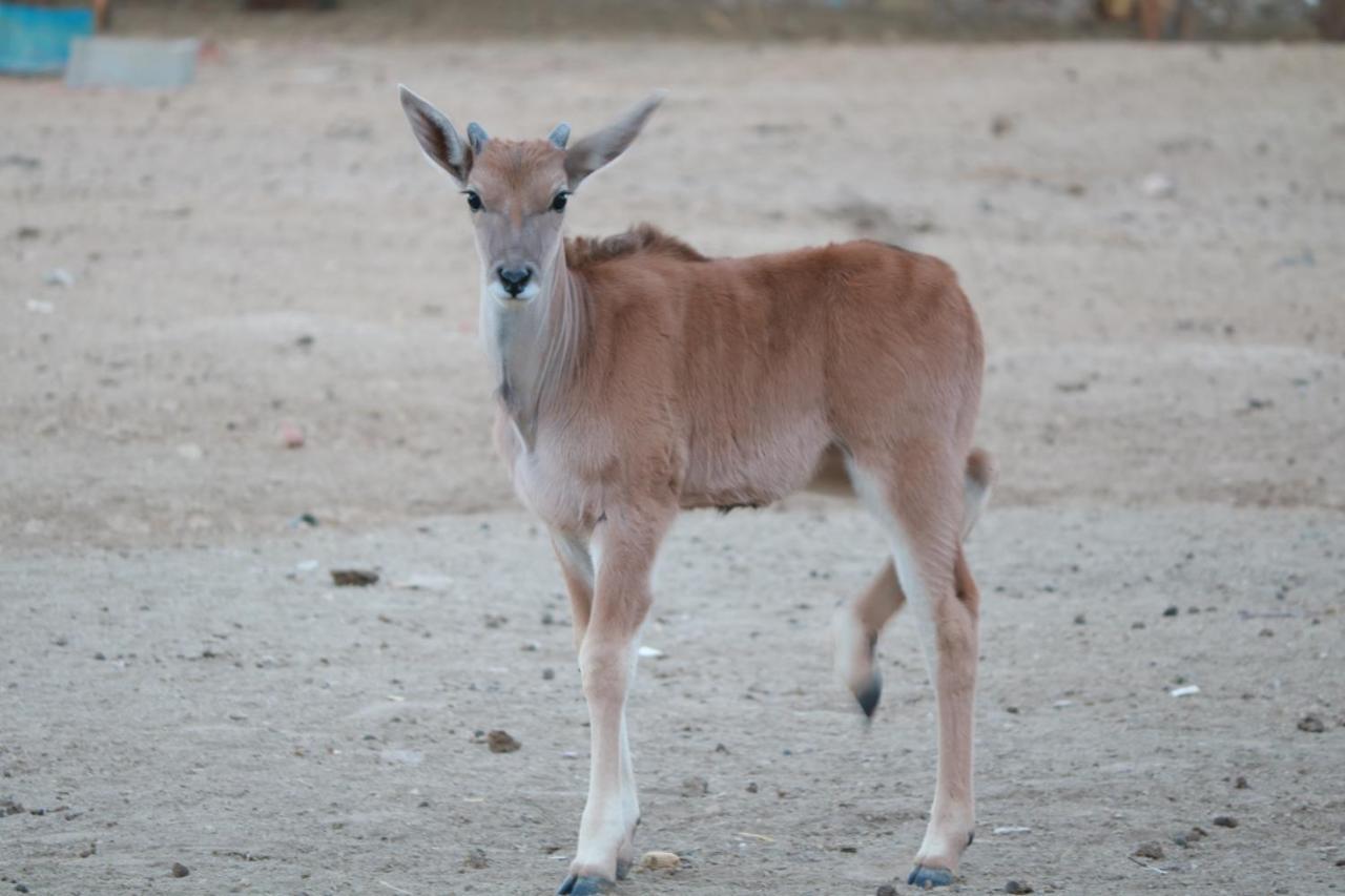 Maritz Country Lodge Keetmanshoop Esterno foto